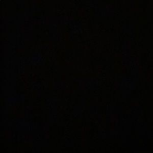 Meet your Posher, Charles